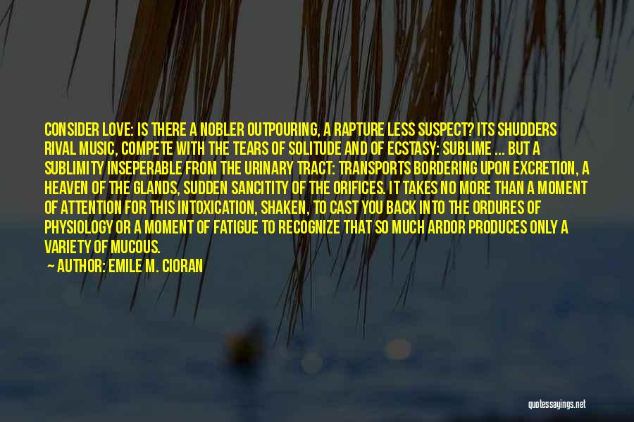 Sublimity Quotes By Emile M. Cioran