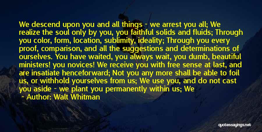 Sublimity Quotes By Walt Whitman