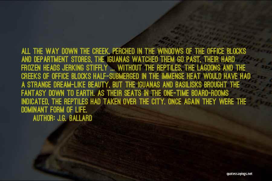 Submerged Quotes By J.G. Ballard