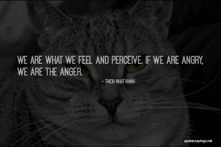 Submersed Band Quotes By Thich Nhat Hanh Submersed Band Quotes By Thich Nhat Hanh