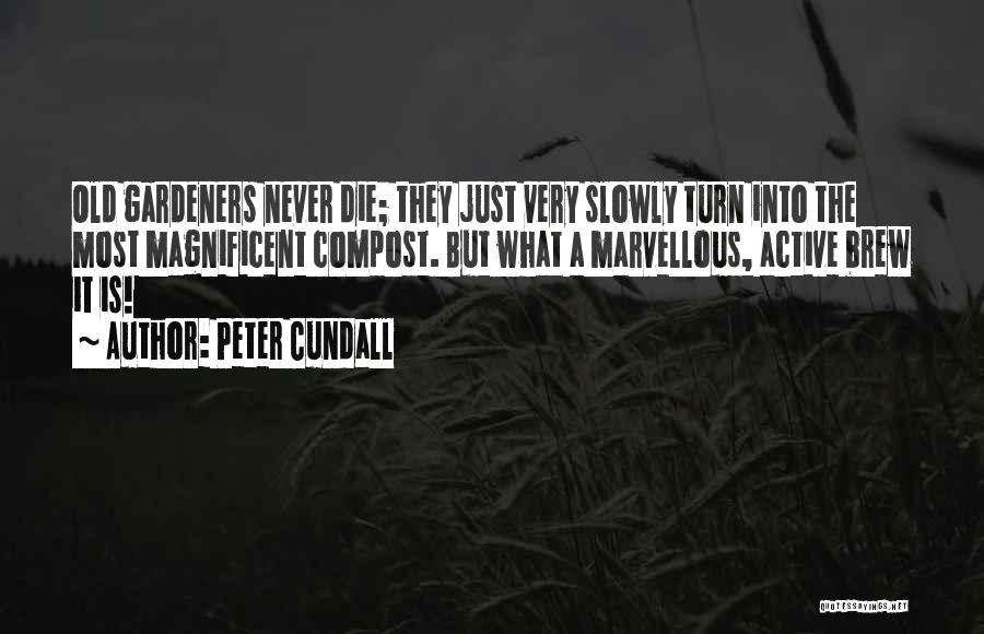 Submission Deadline Quotes By Peter Cundall