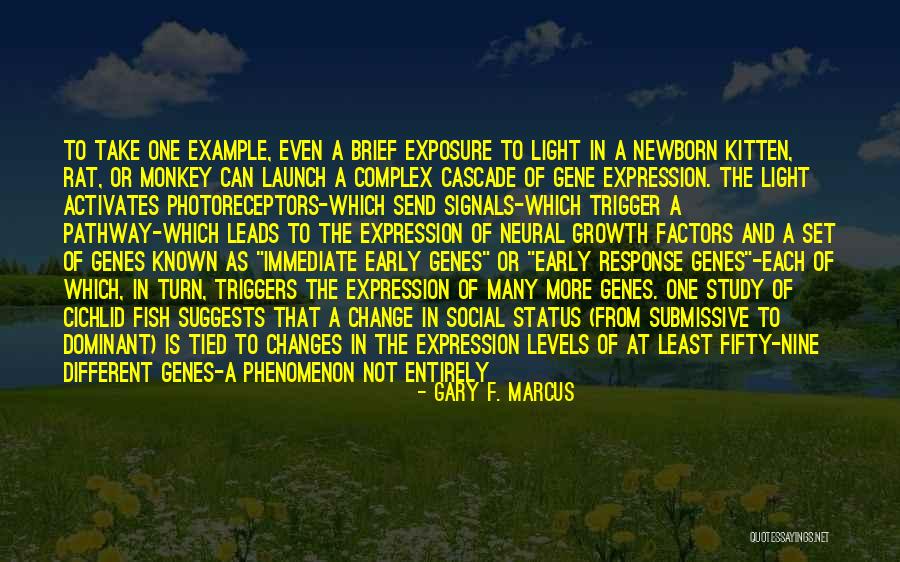 Submissive Quotes By Gary F. Marcus Submissive Quotes By Gary F. Marcus