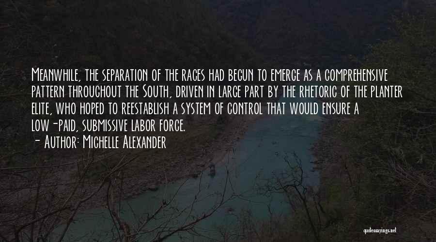 Submissive Quotes By Michelle Alexander