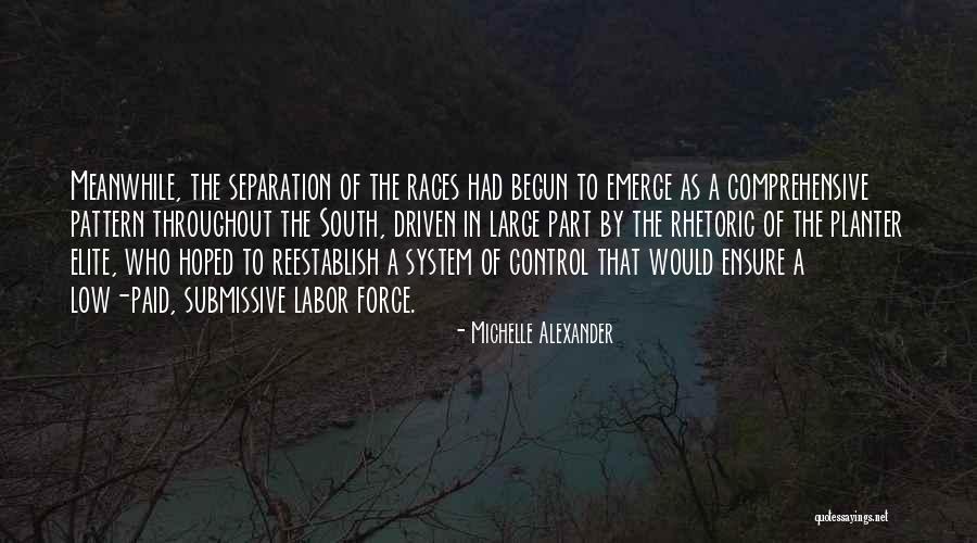 Submissive Quotes By Michelle Alexander