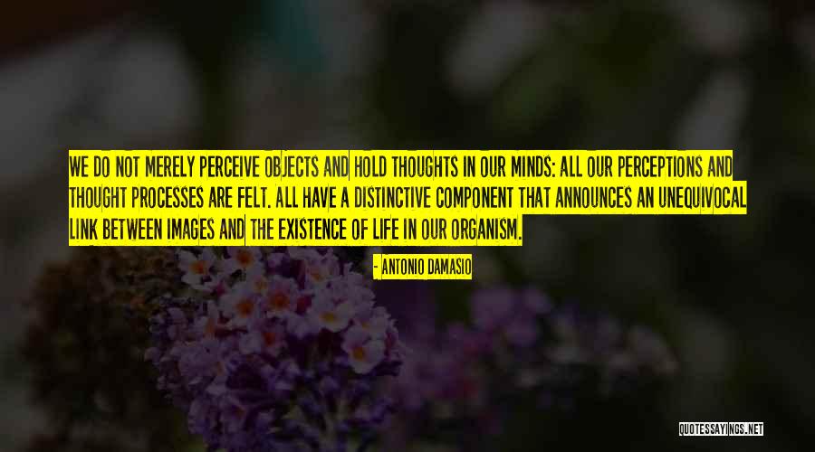 Suboptimal Inspiratory Quotes By Antonio Damasio Suboptimal Inspiratory Quotes By Antonio Damasio