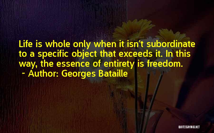 Subordinate Quotes By Georges Bataille