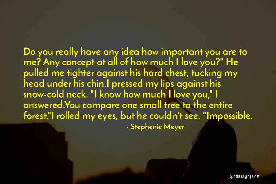 Subordonn E Compl Tive Quotes By Stephenie Meyer Subordonn E Compl Tive Quotes By Stephenie Meyer