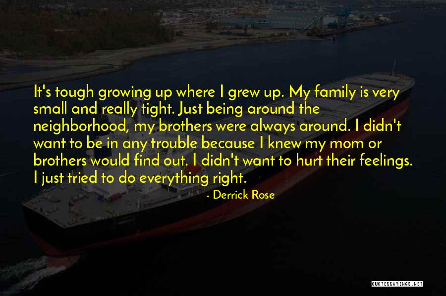 Subquantum Quotes By Derrick Rose Subquantum Quotes By Derrick Rose