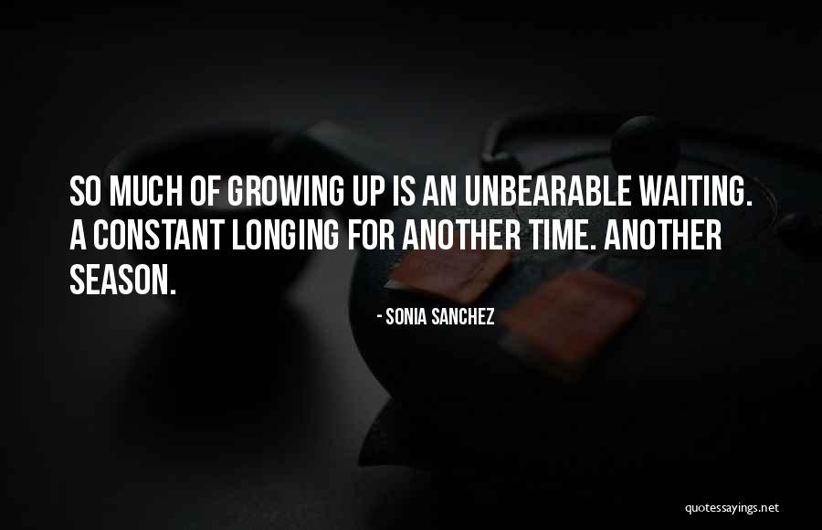 Subroutines In Programming Quotes By Sonia Sanchez