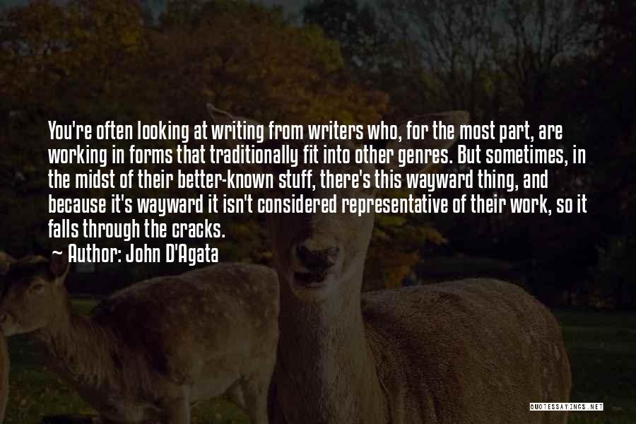 Subsequent Encounter Quotes By John D'Agata