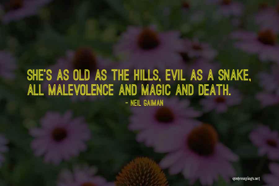 Subservience In A Sentence Quotes By Neil Gaiman