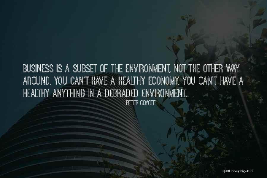Subset Quotes By Peter Coyote Subset Quotes By Peter Coyote