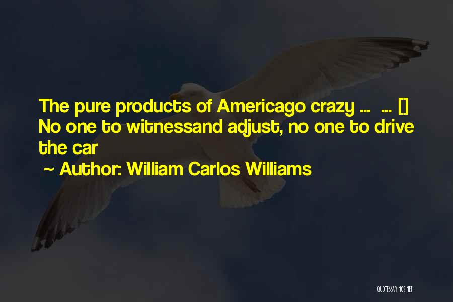 Subside Synonym Quotes By William Carlos Williams