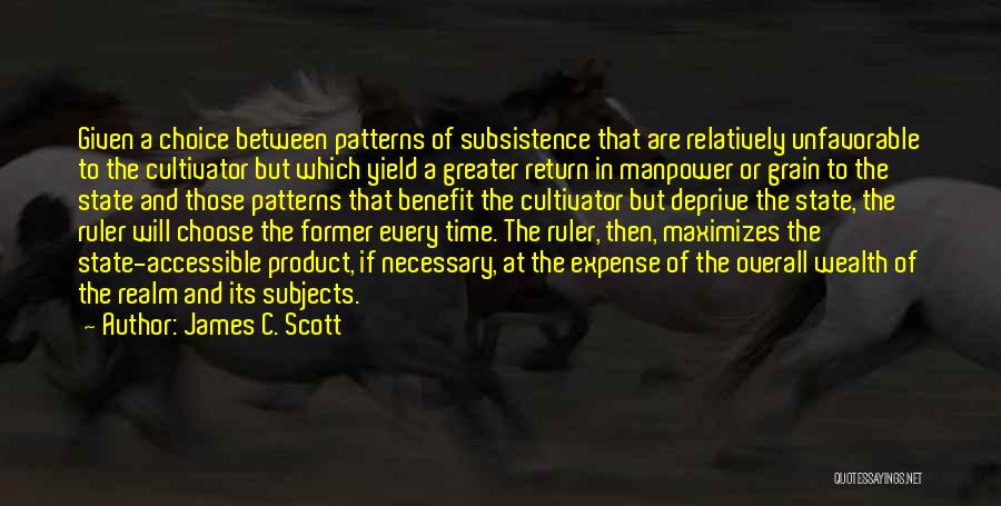 Subsistence Quotes By James C. Scott