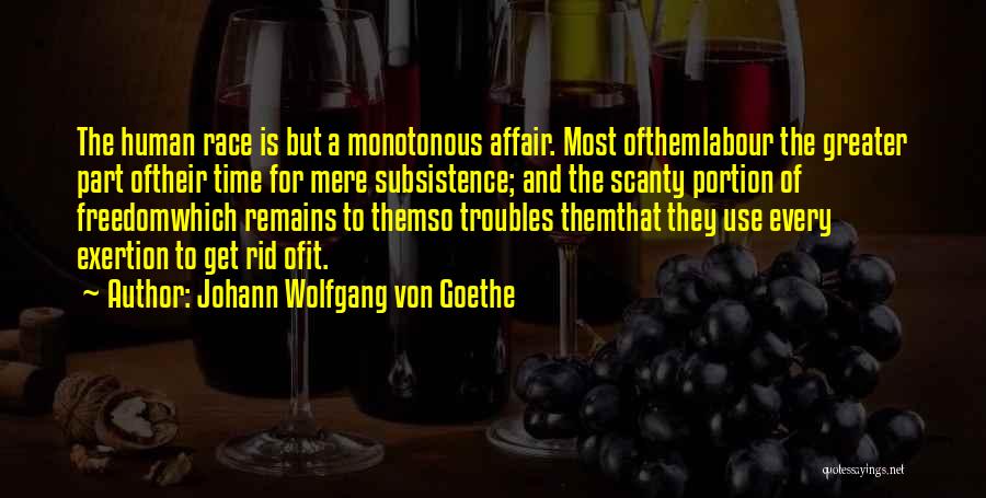 Subsistence Quotes By Johann Wolfgang Von Goethe