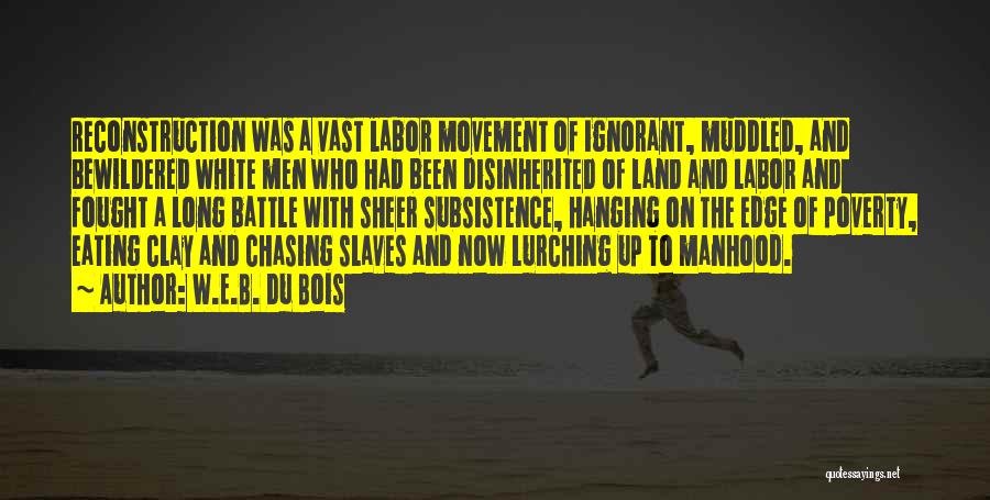 Subsistence Quotes By W.E.B. Du Bois