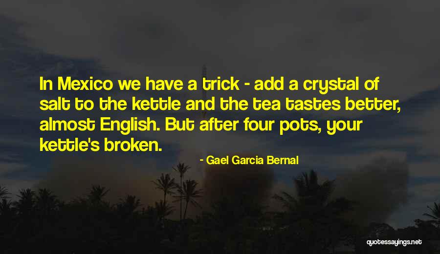 Subsistent Solar Quotes By Gael Garcia Bernal Subsistent Solar Quotes By Gael Garcia Bernal