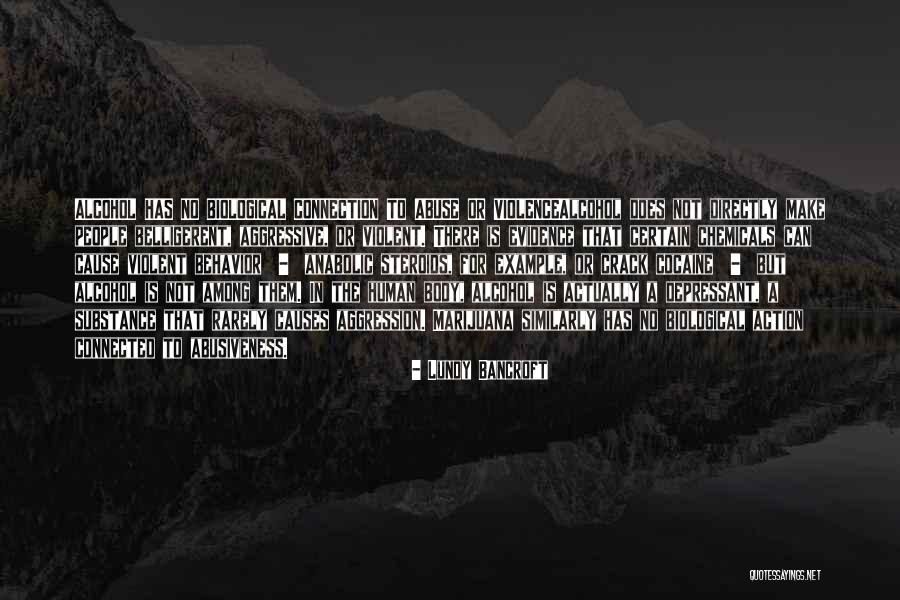 Substance Abuse Quotes By Lundy Bancroft Substance Abuse Quotes By Lundy Bancroft