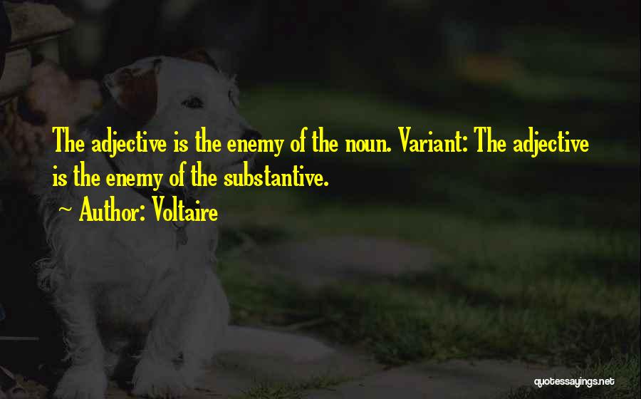 Substantive Quotes By Voltaire