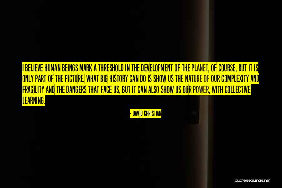 Substrata Quotes By David Christian Substrata Quotes By David Christian