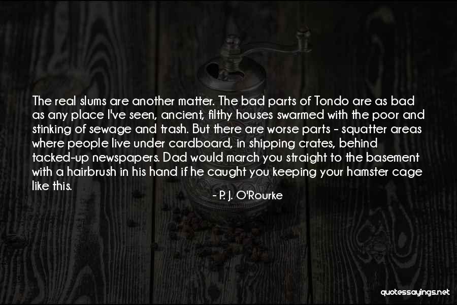 Substring Between Quotes By P. J. O'Rourke Substring Between Quotes By P. J. O'Rourke