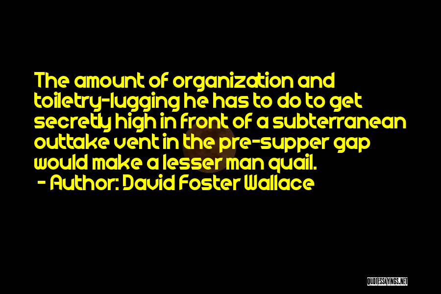 Subterranean Quotes By David Foster Wallace