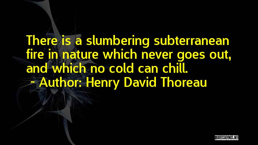 Subterranean Quotes By Henry David Thoreau