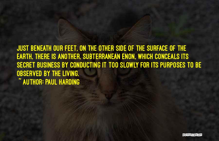 Subterranean Quotes By Paul Harding