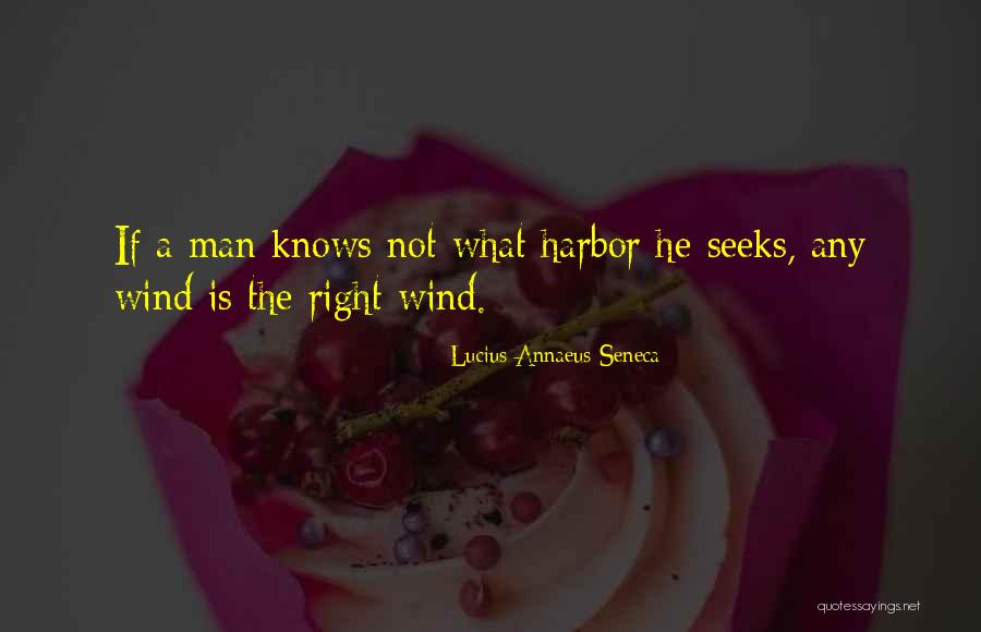 Subtilize Videos Quotes By Lucius Annaeus Seneca Subtilize Videos Quotes By Lucius Annaeus Seneca