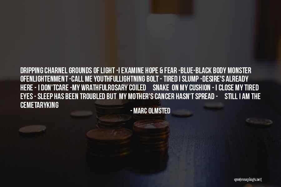 Subtle Art Of Not Giving A F Quotes By Marc Olmsted Subtle Art Of Not Giving A F Quotes By Marc Olmsted