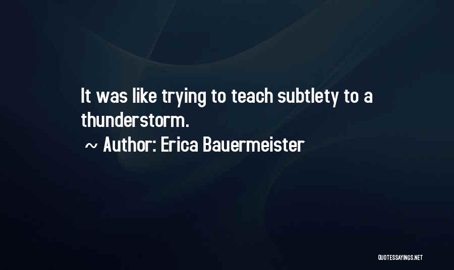 Subtlety Quotes By Erica Bauermeister