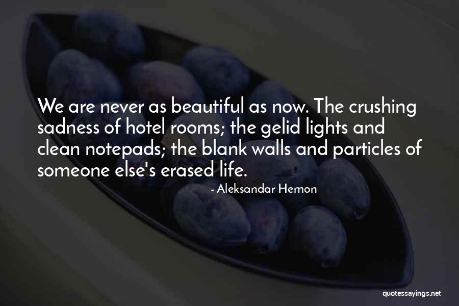 Subunits Quotes By Aleksandar Hemon Subunits Quotes By Aleksandar Hemon