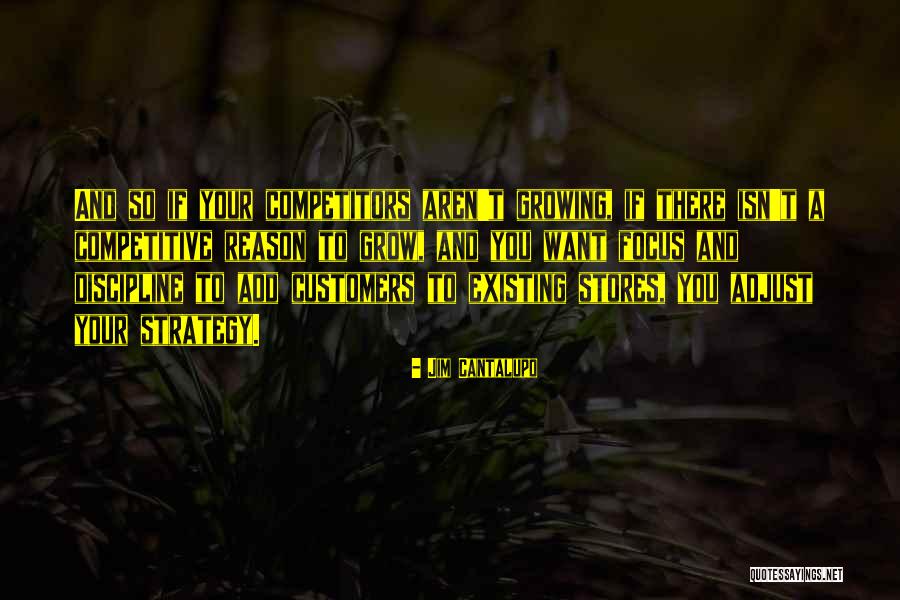Subunits Quotes By Jim Cantalupo Subunits Quotes By Jim Cantalupo