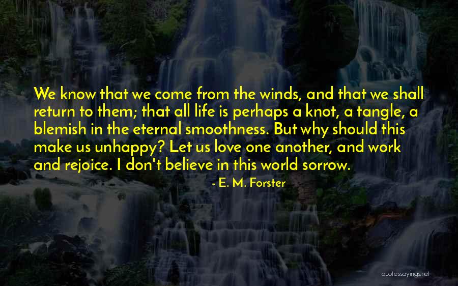 Subvenimur Quotes By E. M. Forster Subvenimur Quotes By E. M. Forster