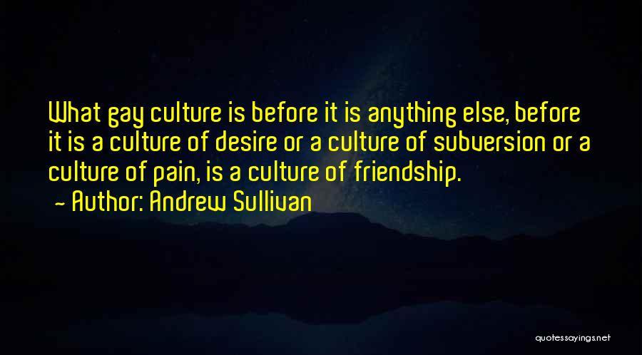 Subversion Quotes By Andrew Sullivan