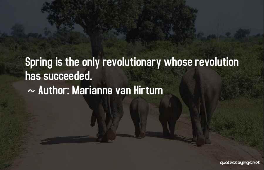 Succeeded Quotes By Marianne Van Hirtum