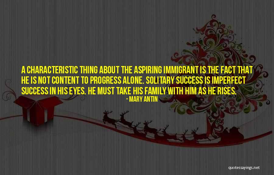 Success Alone Quotes By Mary Antin Success Alone Quotes By Mary Antin