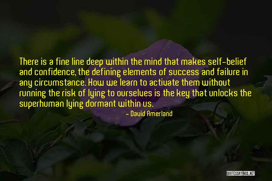 Success And Confidence Quotes By David Amerland