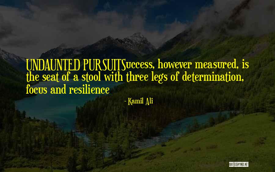 Success And Determination Quotes By Kamil Ali Success And Determination Quotes By Kamil Ali