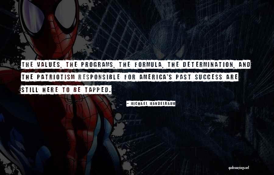 Success And Determination Quotes By Michael Mandelbaum Success And Determination Quotes By Michael Mandelbaum