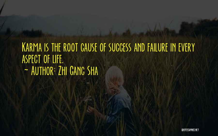 Success And Failure In Life Quotes By Zhi Gang Sha