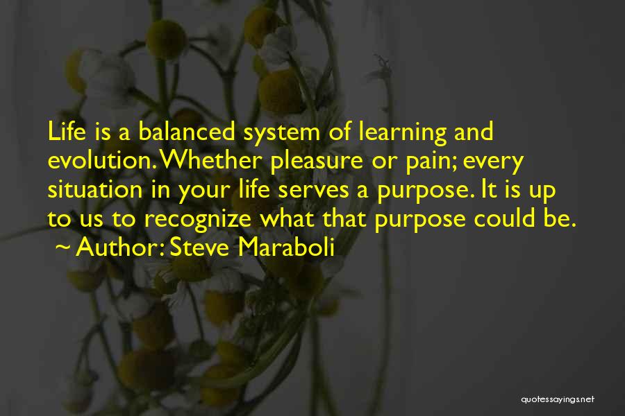 Success And Learning Quotes By Steve Maraboli