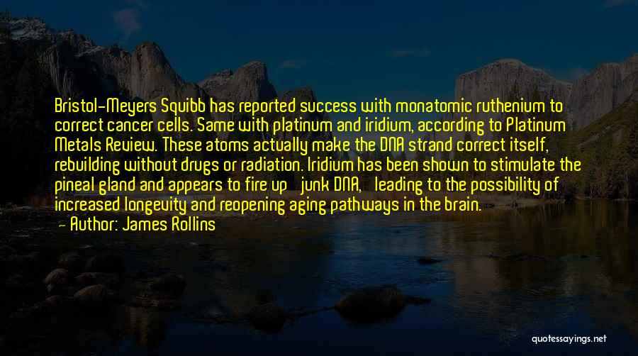 Success And Longevity Quotes By James Rollins