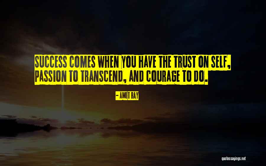 Success And Passion Quotes By Amit Ray