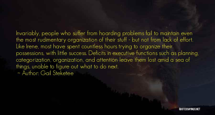 Success And Planning Quotes By Gail Steketee