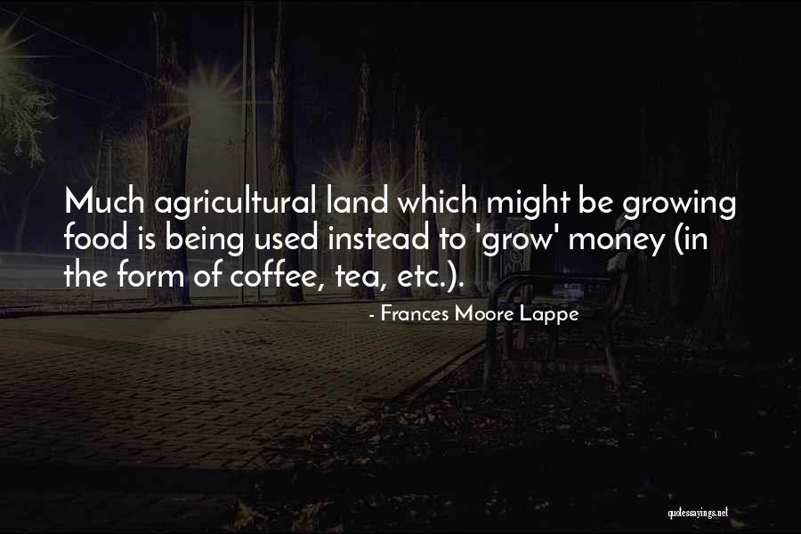 Success And Unsuccess Quotes By Frances Moore Lappe Success And Unsuccess Quotes By Frances Moore Lappe