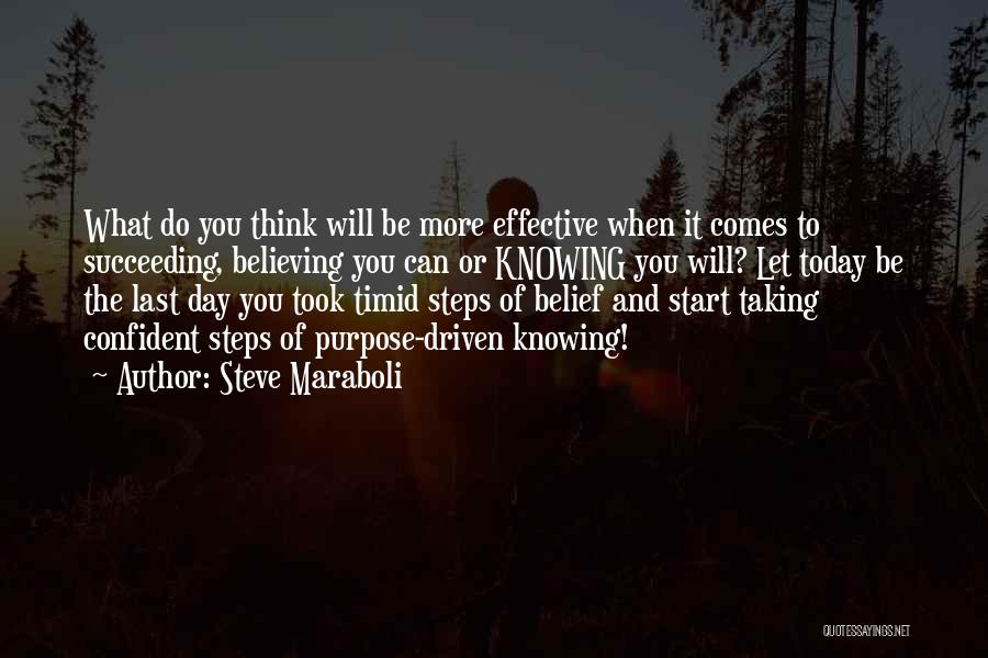 Success Driven Quotes By Steve Maraboli