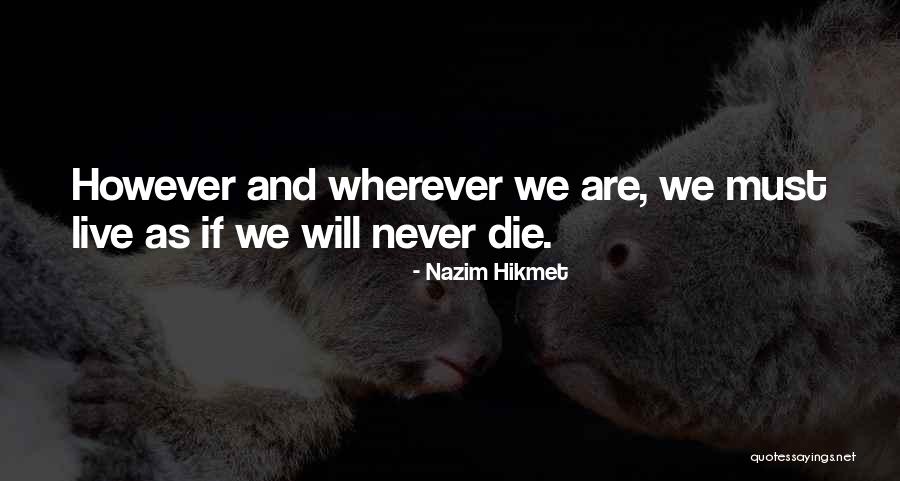 Success Equation Quotes By Nazim Hikmet Success Equation Quotes By Nazim Hikmet