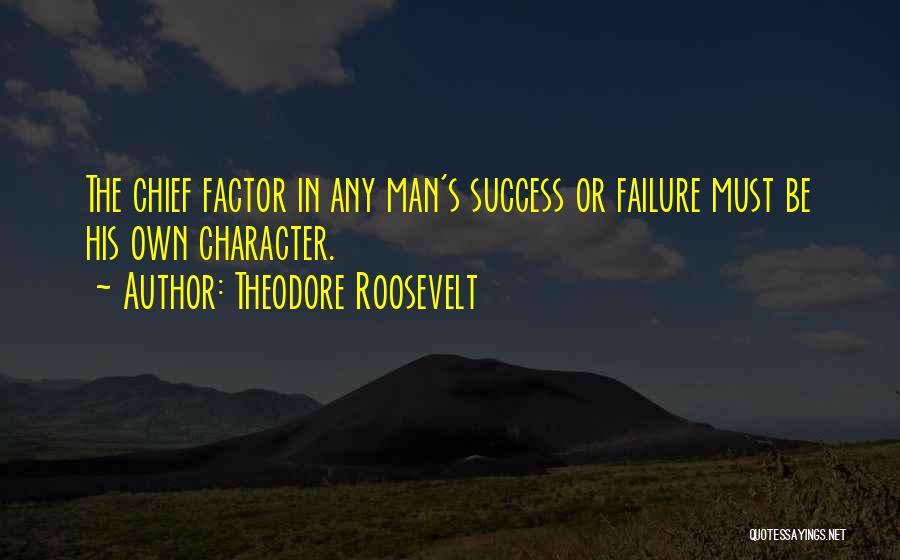 Success Factor Quotes By Theodore Roosevelt