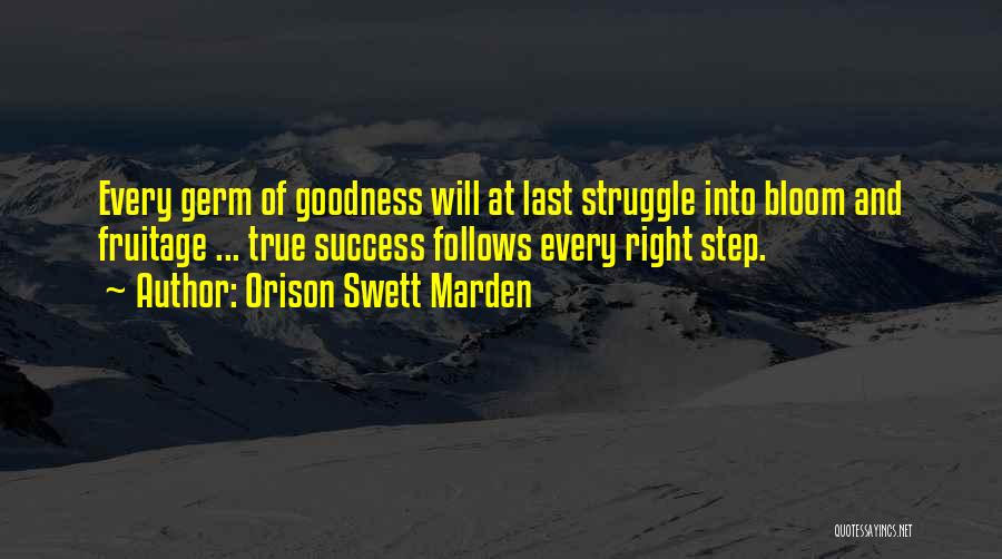 Success Follows Quotes By Orison Swett Marden